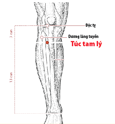 huyet-tuc-tam-ly-17557438126311121402274-1755828416480-17558284166602119831722.png