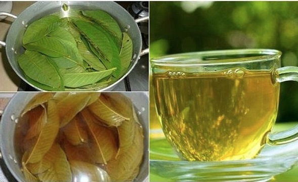 nuoc-la-oi-1755835413442519025184.jpg