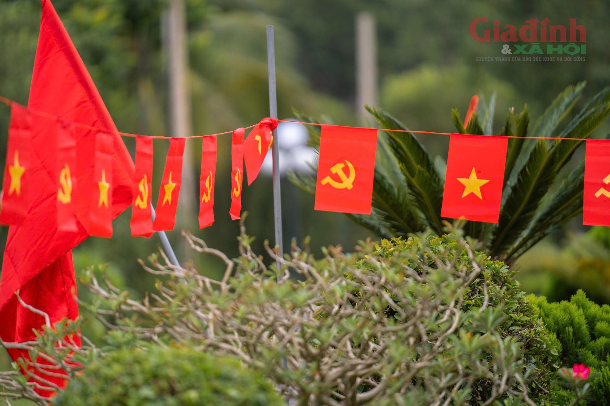 Sắc cờ đỏ phủ kín hàng ngàn mộ phần, tưởng nhớ công ơn người đã khuất dịp Quốc khánh 2/9- Ảnh 6. Sắc cờ đỏ phủ kín hàng ngàn mộ phần, tưởng nhớ công ơn người đã khuất dịp Quốc khánh 2/9- Ảnh 6.