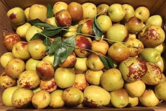 Hồng táo đang bán nhiều ở chợ Việt được ví 'thuốc bổ tự nhiên': Nên ăn hồng táo tươi hay khô mới tốt cho sức khỏe? - Ảnh 1.