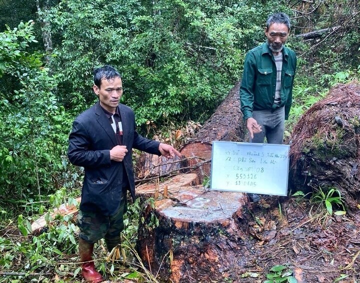 khai-thac-thong-trai-phep1-15344563-1754211155180-1754211155484902459078.jpg
