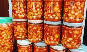 Dưa muối từng giúp những người Mỹ đầu tiên sống sót thế nào? - Ảnh 3.