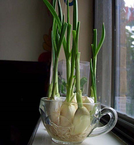 trong-toi-trong-nuoc-5-1756660133549740954704.jpg
