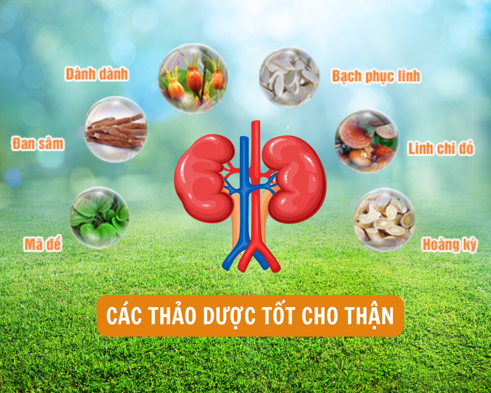 Những điều cần biết để phòng ngừa nguy cơ biến chứng suy thận độ 4 - Ảnh 4.
