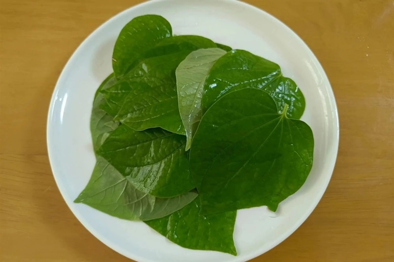 Jenis daun ini sangat melimpah di negara kita dan merupakan 'obat mujarab'. Ketika ditambahkan ke daging panggang, daun ini memberikan cita rasa istimewa dan menarik yang disukai semua orang - Foto 3. Loại lá cực nhiều ở nước ta là thuốc ‘đại bổ’, thêm vào khi nướng thịt càng thêm vị hấp dẫn đặc biệt, ai cũng mê - Ảnh 3.