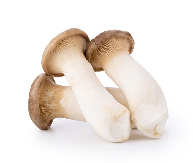 -duy-nhat-chua-vitamin-d-cu-tuong-xao-moi-ngon-dem-sot-chua-ngot-duoc-mon-dam-da-la-mieng-cu-nam-1753986116-120-width650height550-1754450332245-1754450332483424140400.jpg