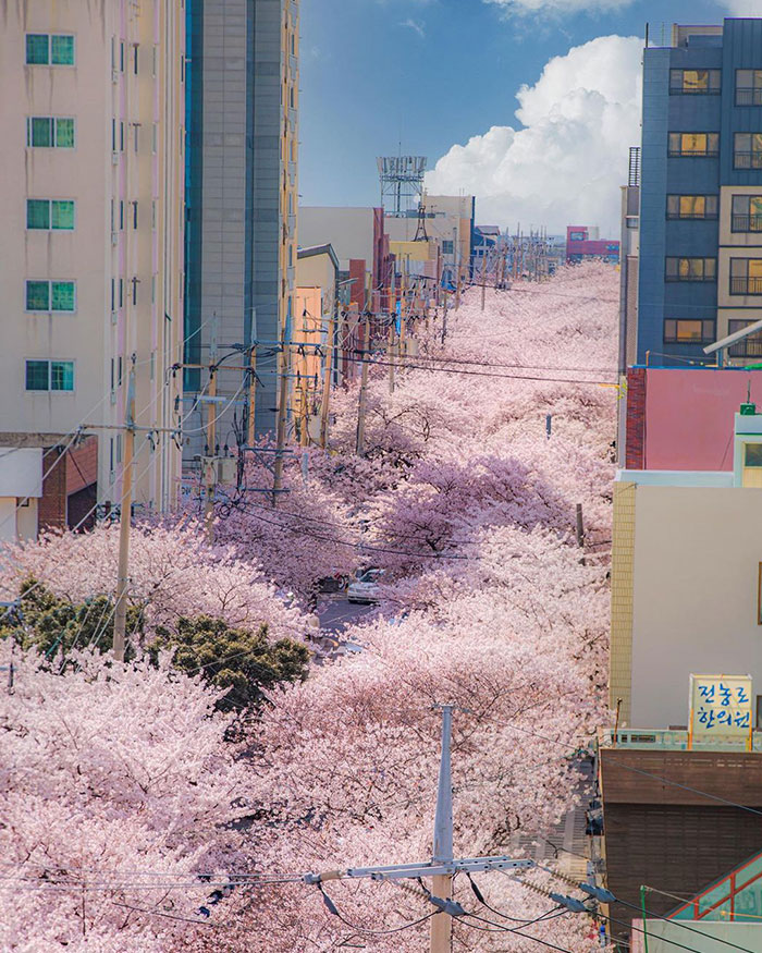interesting-south-korea-215-61274cf9d83a6700-1754472003737-1754472003875934060899-1754610467611-17546104679491287912231.jpg
