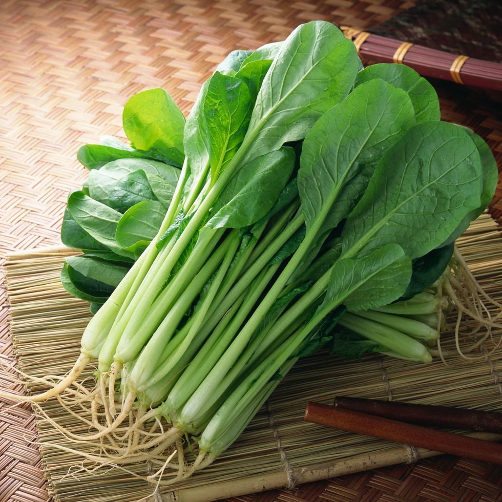 rau bina mù tạt Nhật Bản