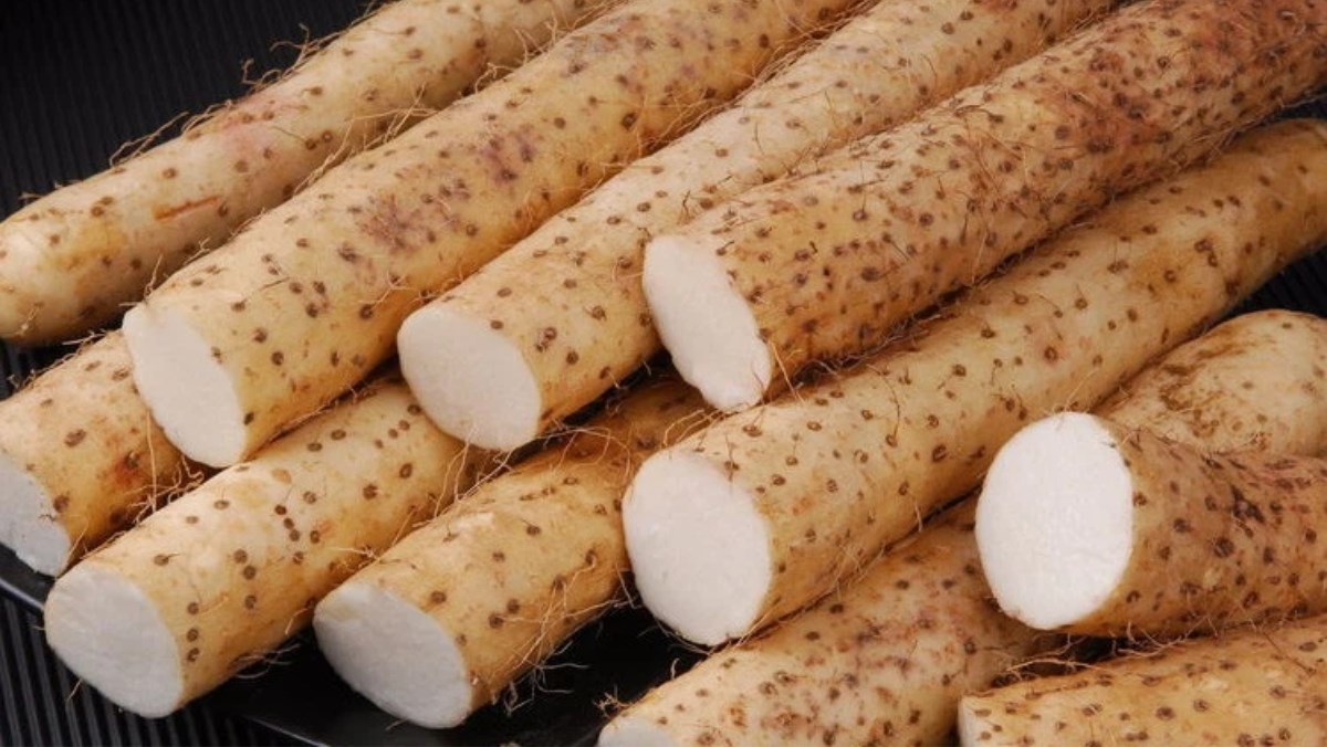 Loại củ mọc hoang lại là thần dược tự nhiên, hỗ trợ người thận yếu, chế biến thành nhiều món ngon- Ảnh 1.