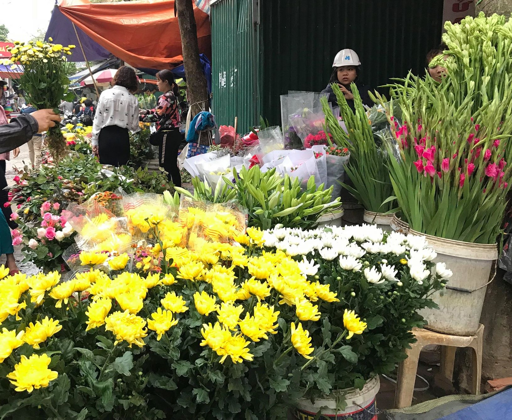 Những loại hoa nên chọn để cúng Rằm tháng 7 đem đến phúc khí, tài lộc
