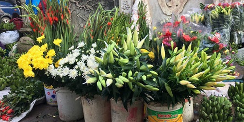Những loại hoa nên chọn để cúng Rằm tháng 7 đem đến phúc khí, tài lộc - Ảnh 2. Những loại hoa nên chọn để cúng Rằm tháng 7 đem đến phúc khí, tài lộc - Ảnh 2.