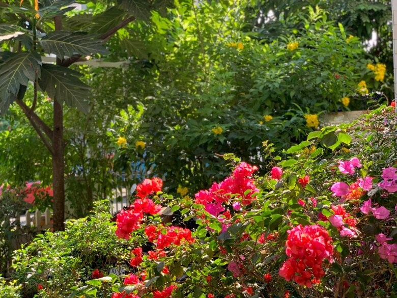 Mẹ trung úy Quang sống trong căn nhà 4 tầng xinh đẹp ở TP . HCM - Ảnh 15.