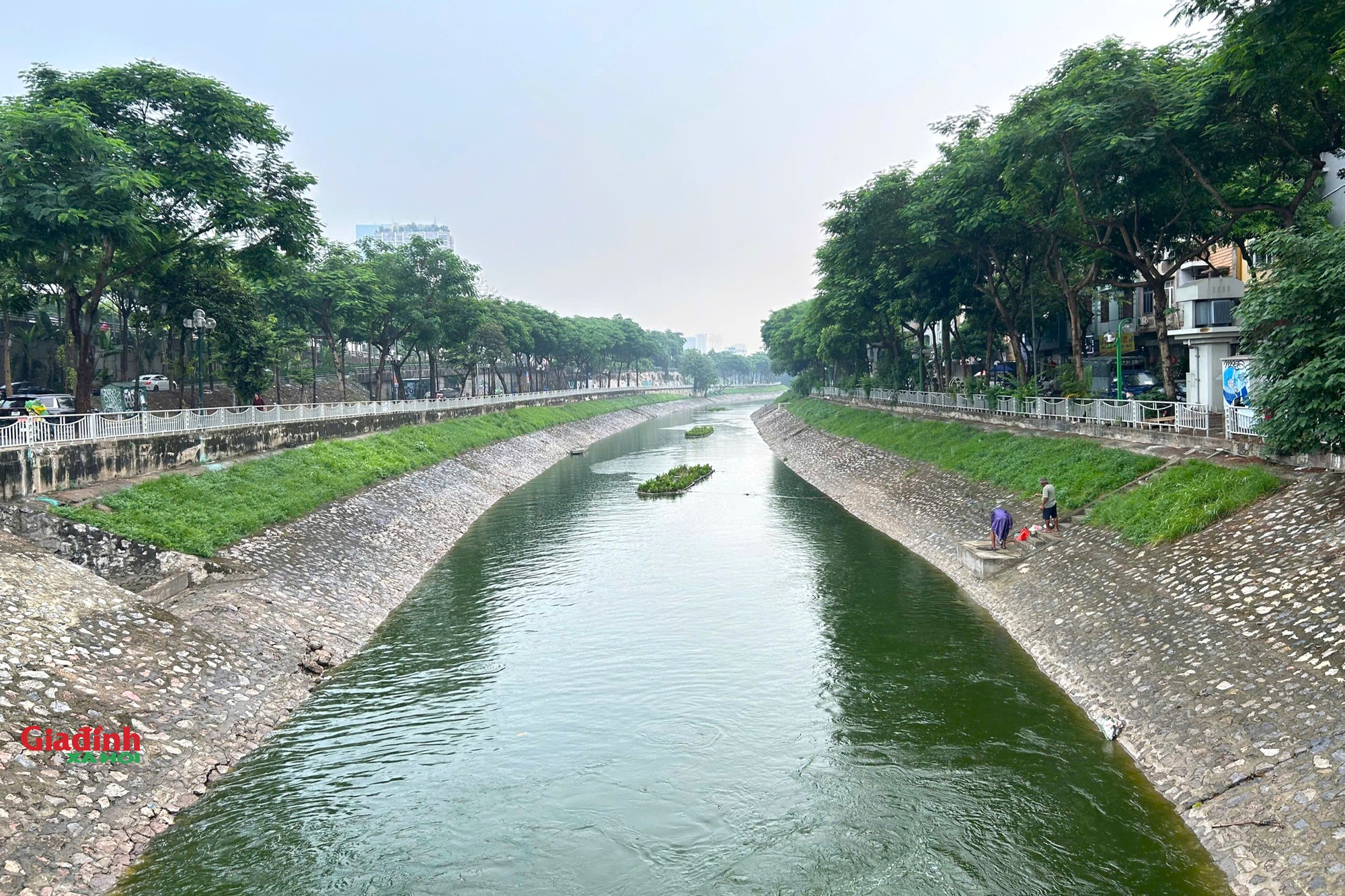 Sông Tô Lịch ' hồi sinh ': Nước trong xanh , người dân câu cá trở lại - Ảnh 1. Sông Tô Lịch ' hồi sinh ': Nước trong xanh , người dân câu cá trở lại - Ảnh 1.