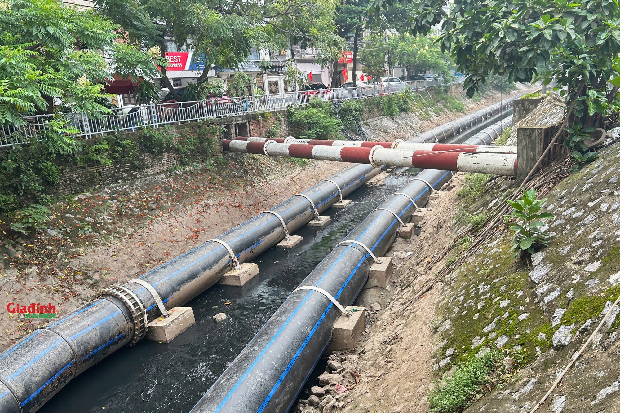 Sông Tô Lịch ' hồi sinh ': Nước trong xanh , người dân câu cá trở lại - Ảnh 4. Sông Tô Lịch ' hồi sinh ': Nước trong xanh , người dân câu cá trở lại - Ảnh 4.