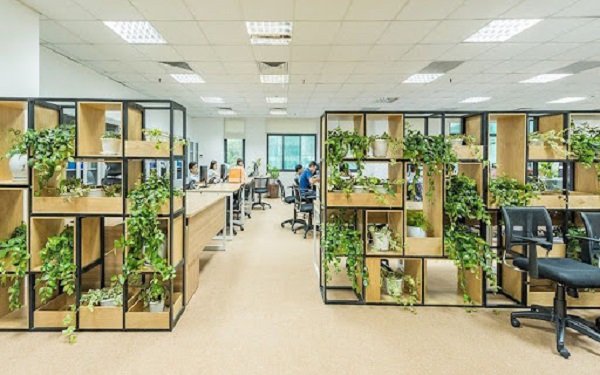 Loài cây hóa giải sát khí trong văn phòng làm việc giảm stress hiệu quả - Ảnh 3.