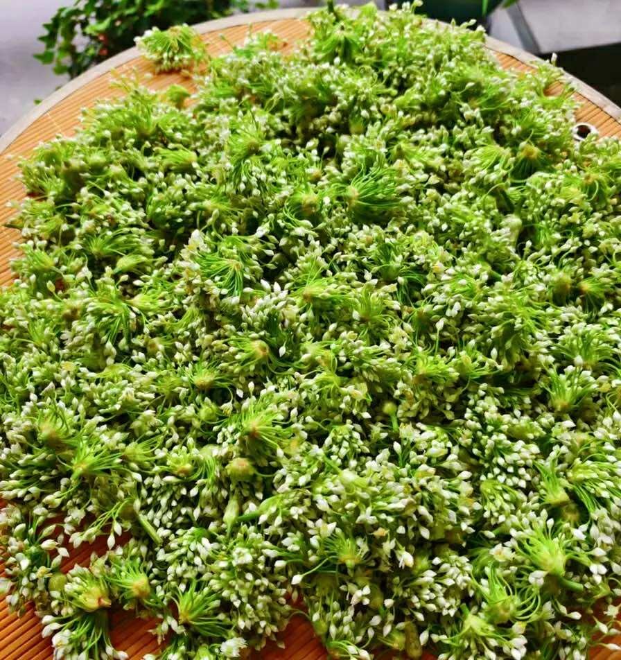 Mùa thu, đừng quên thưởng thức món ngon hỗ trợ thải độc gan,với loại rau độc đáo này - Ảnh 2.