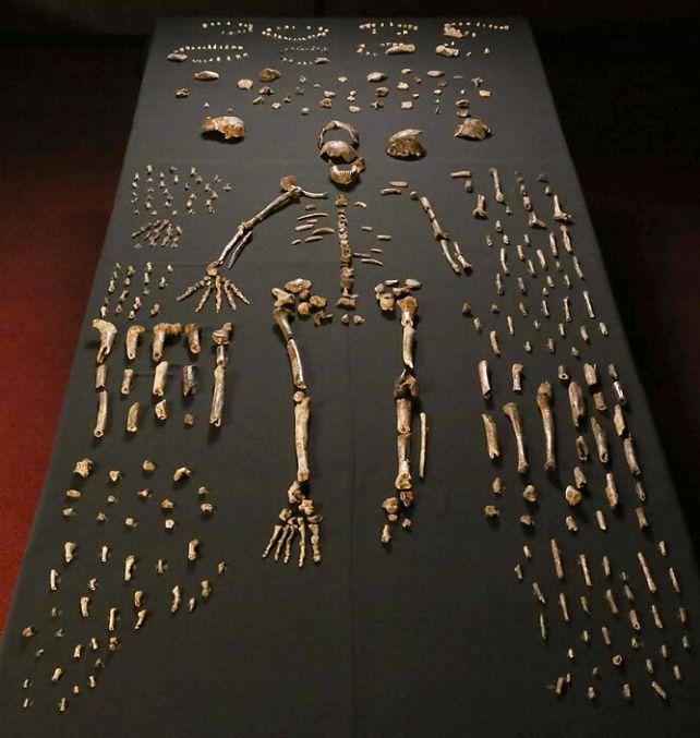 h-naledi-1757821966287399734450-1757895857206-1757895857490818025462.jpg