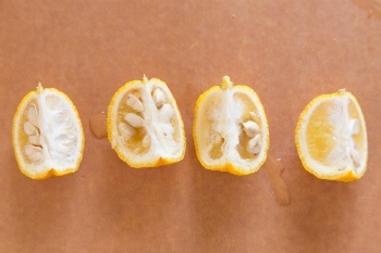 yuzu-marmalade-1-16474585681001376406235-1758098411848-17580984122341320455939.jpg