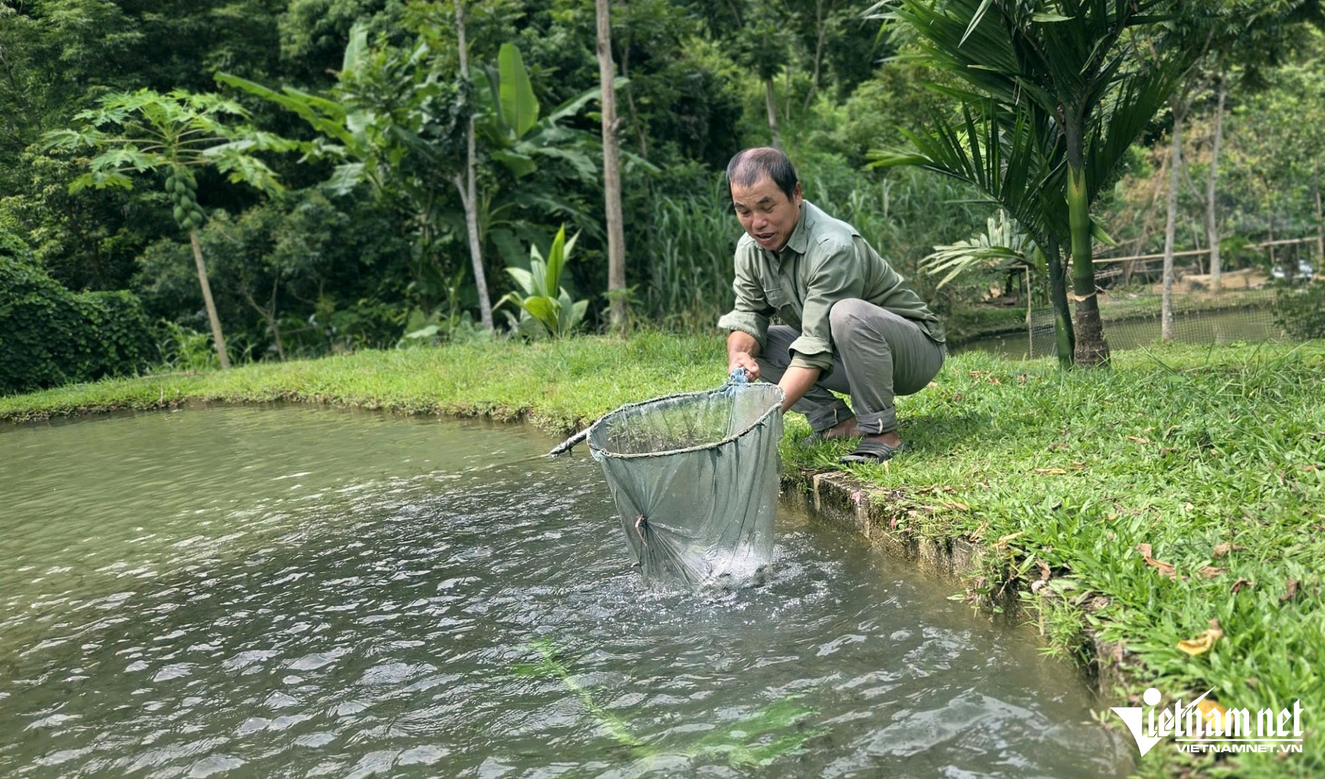 Theo dòng suối săn loài cá quý, lão nông người Thái khoe ‘mua ô tô, gửi tiết kiệm' - Ảnh 1. Theo dòng suối săn loài cá quý, lão nông người Thái khoe ‘mua ô tô, gửi tiết kiệm' - Ảnh 1.