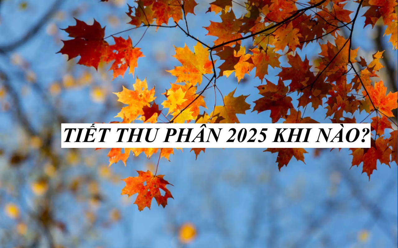 thu-phan-2025-1758423728459318779208-53-0-853-1280-crop-1758423744107918342248.jpg