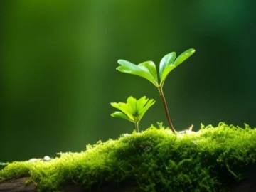 Ngày sinh Âm lịch của người khôn ngoan, hậu vận cực kì thịnh vượng - Ảnh 1. Ngày sinh Âm lịch của người khôn ngoan, hậu vận cực kì thịnh vượng - Ảnh 1.