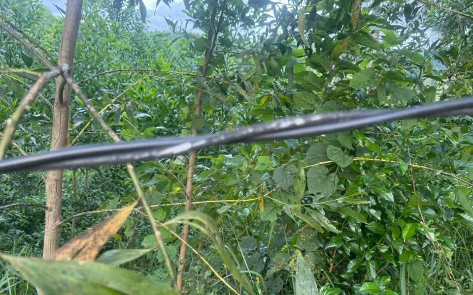 mot-nguoi-phu-nu-o-hue-bi-dien-giat-tu-vong-thuong-tam-2-1758548651027362894597-40-0-640-960-crop-17585487297561033776066.jpg