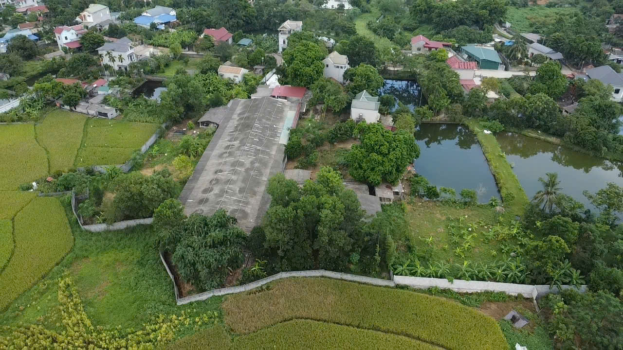 Phú Thọ: Cuộc sống cư dân bị ảnh hưởng bởi trại gà lớn giữa thôn Đất Đỏ - Ảnh 4.