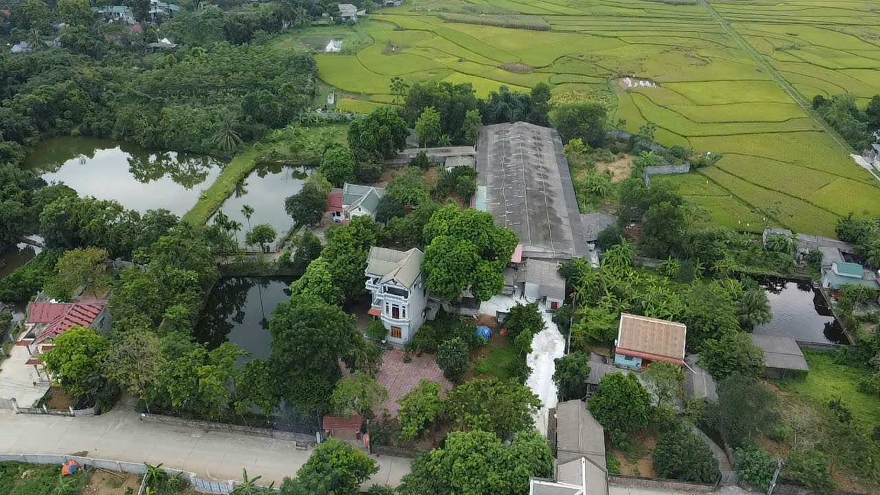 Phú Thọ: Cuộc sống cư dân bị ảnh hưởng bởi trại gà lớn giữa thôn Đất Đỏ - Ảnh 3.