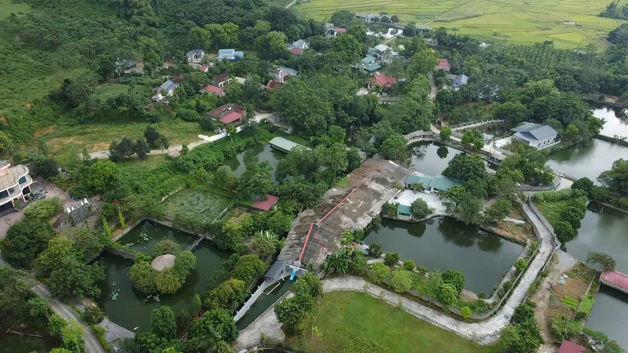 Cuộc sống cư dân thôn Đất Đỏ bị ảnh hưởng bởi trại gà ở Phú Thọ - Ảnh 2. Cuộc sống cư dân thôn Đất Đỏ bị ảnh hưởng bởi trại gà ở Phú Thọ - Ảnh 2.