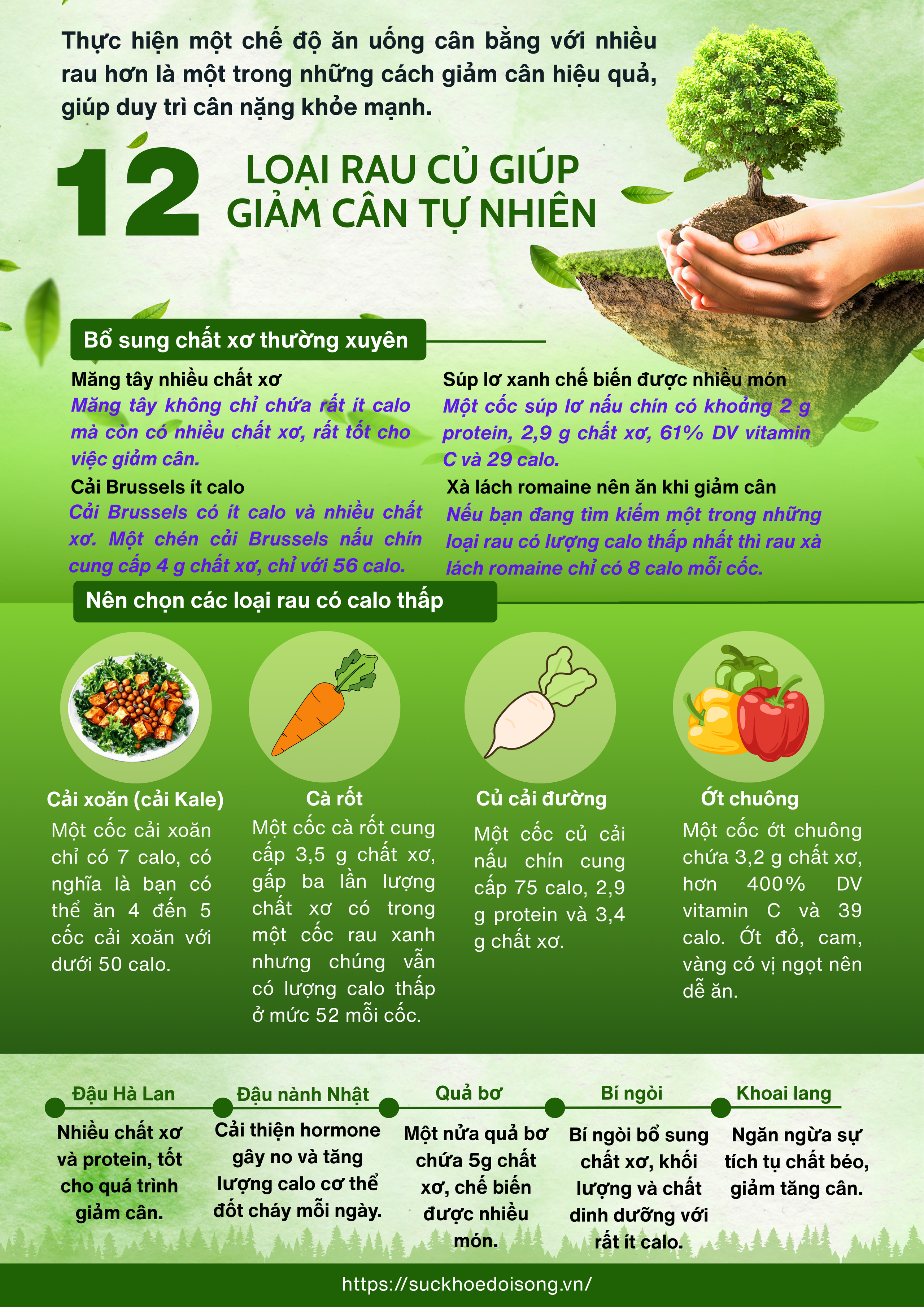 12-loai-rau-cu-tu-nhien-17586804783501645557972.png