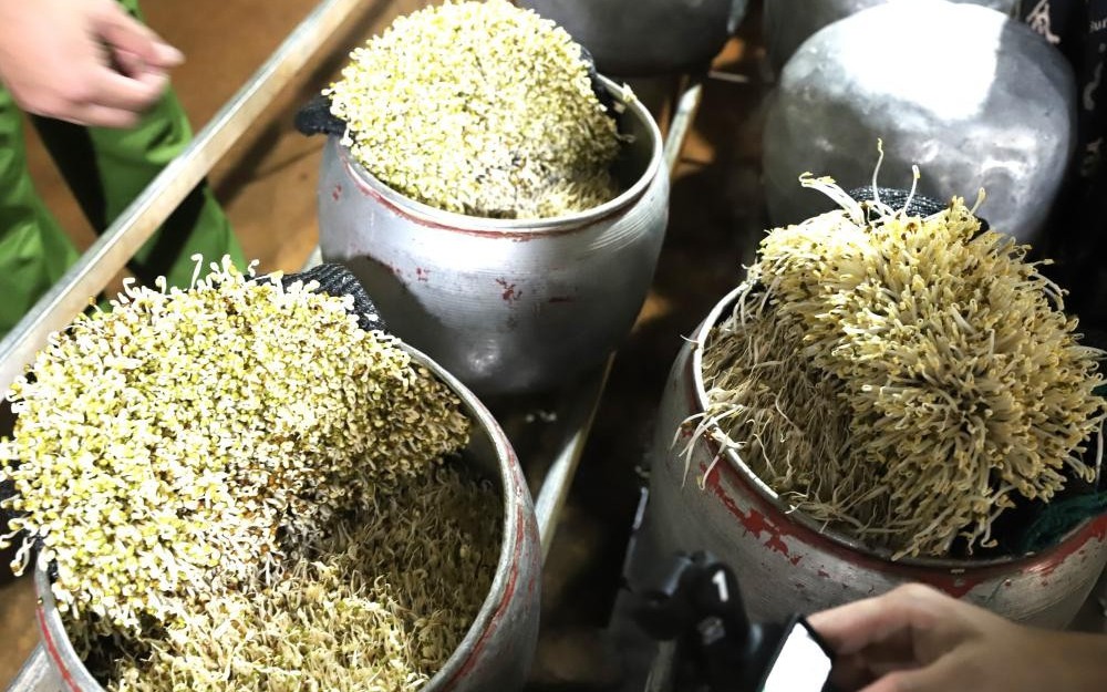 Ph&aacute;t hiện cơ sở sản xuất gần 5 tạ gi&aacute; đỗ ng&acirc;m chất cấm