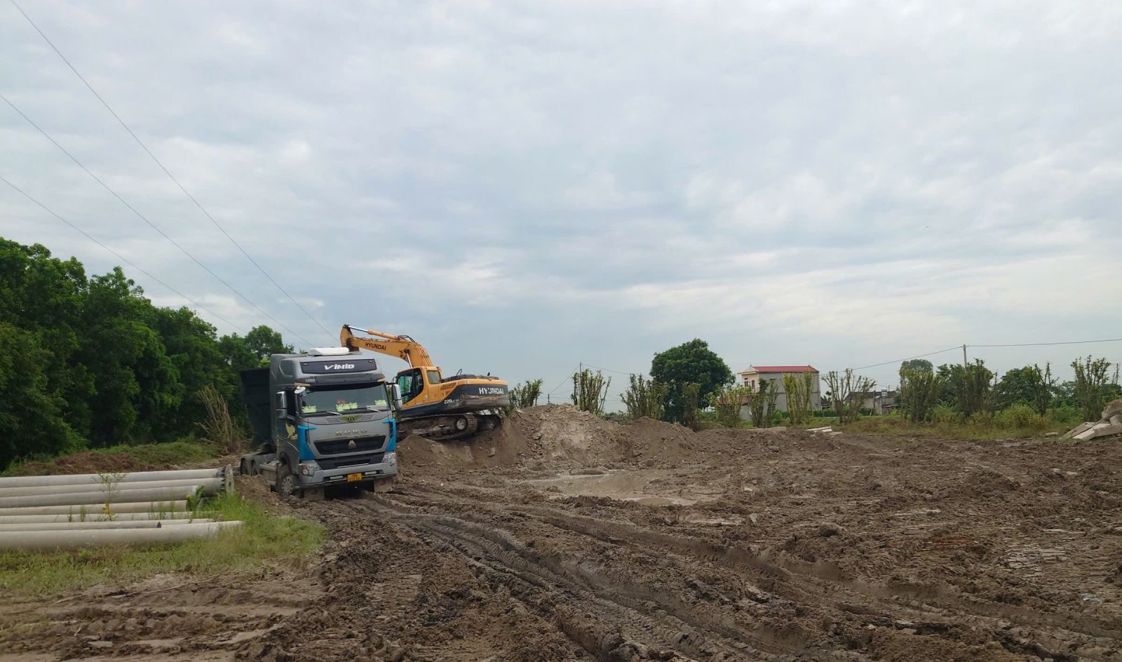 Giám đốc doanh nghiệp bê tông Ninh Bình bị bắt vì Gây ô nhiễm môi trường - Ảnh 3.