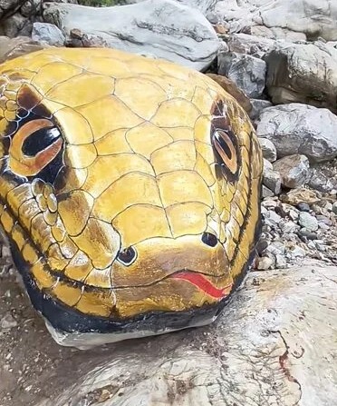 'Trăn khổng lồ' lù lù giữa suối khiến du khách hoảng sợ, ban quản lý nói: Nó đã ở đây hàng trăm triệu năm- Ảnh 2.