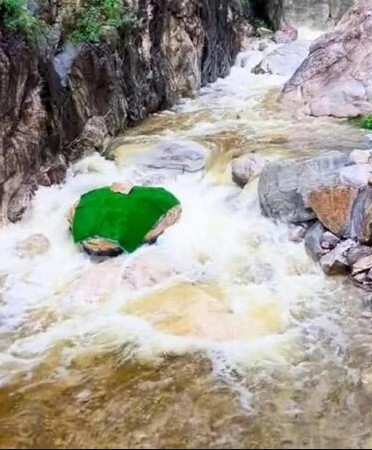 'Trăn khổng lồ' lù lù giữa suối khiến du khách hoảng sợ, ban quản lý nói: Nó đã ở đây hàng trăm triệu năm- Ảnh 4.