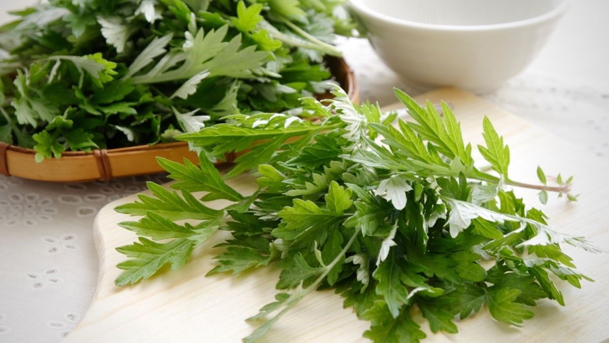 cach-lam-oc-heo-oc-lon-ham-ngai-cuu-dinh-duong-cho-gia-dinh-avt-1200x676-1758791311401-1758791311837821478927.jpg