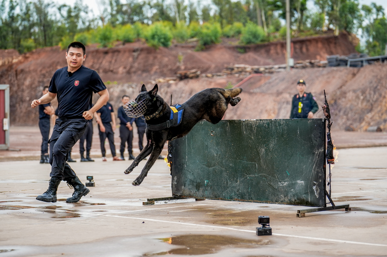 Chiến sĩ quả cảm - Tập 10: Chia tay &quot;lò luyện thép&quot; - Ảnh 1.