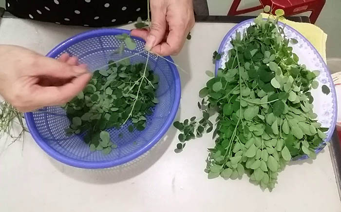 Rau chùm ngây: Dinh dưỡng vượt trội , chế biến món ăn ngon mỗi ngày - Ảnh 3.