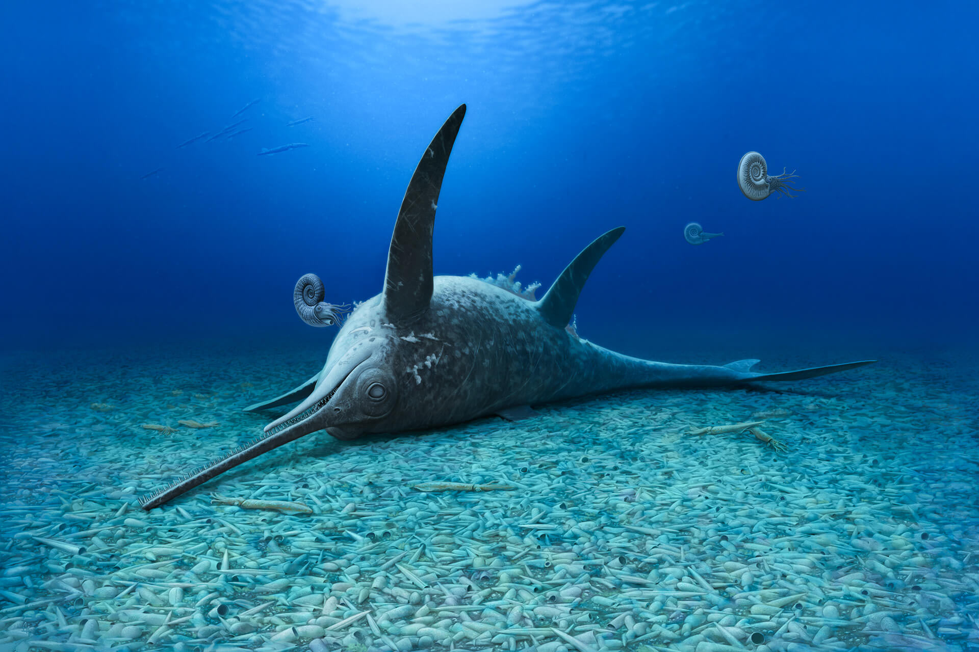 image14244e-eurhinosaurus-mistelgauensis-1-1759206172784687614399-1759276397067-17592763978792003214337.jpg