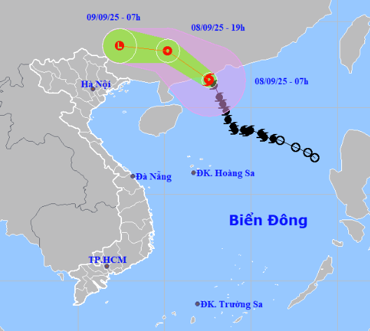 bao-bao-so-7-17572995005281377991681.png