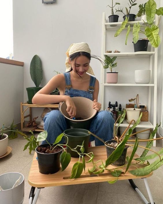 Phụ nữ tuổi 40 trở lên: Trồng 3 loại cây này, không khí trong lành, tiền bạc thêm vượng- Ảnh 4. Phụ nữ tuổi 40 trở lên: Trồng 3 loại cây này, không khí trong lành, tiền bạc thêm vượng- Ảnh 4.