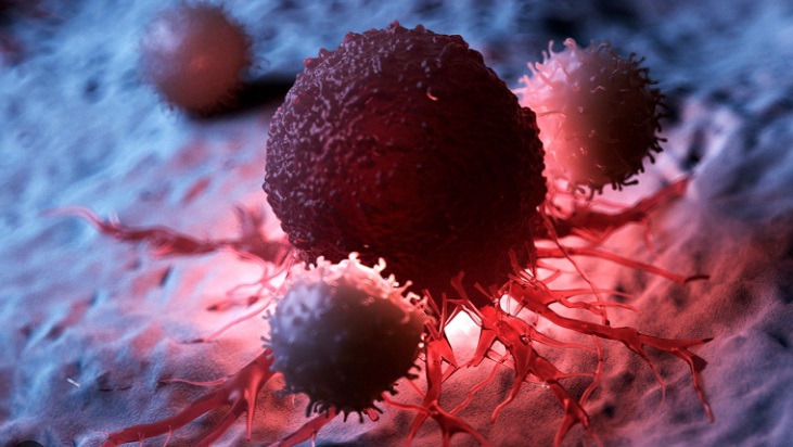 Loại quả mùa đông ăn sống hay nấu chín đều ngon, người Việt nên ăn để ngăn ngừa tế bào ung thư - Ảnh 1.