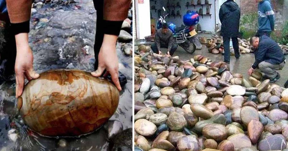 Lạ l&ugrave;ng ra suối nhặt thứ tưởng bỏ đi về b&aacute;n, d&acirc;n l&agrave;ng kiếm "chơi chơi" hơn 72 tỷ đồng/năm - Ảnh 1.