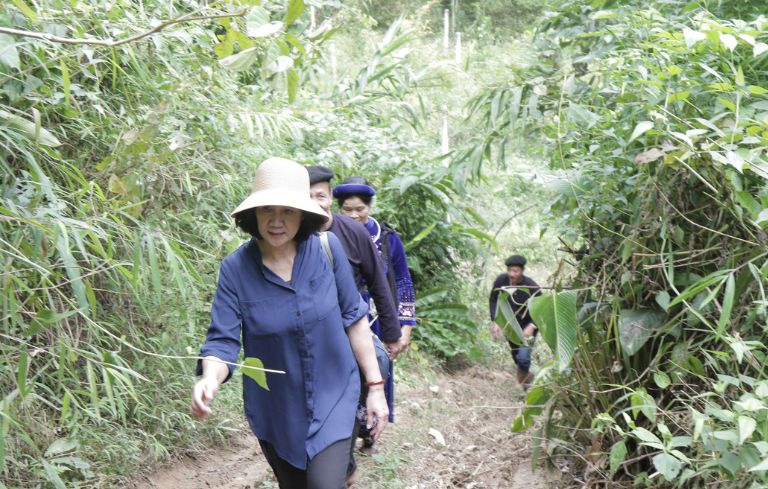 TTƯT, Th.sĩ, B&aacute;c sĩ Nguyễn Thị Tuyết Lan - Hơn 40 năm chữa bệnh v&agrave; g&igrave;n giữ y học d&acirc;n tộc - Ảnh 5.