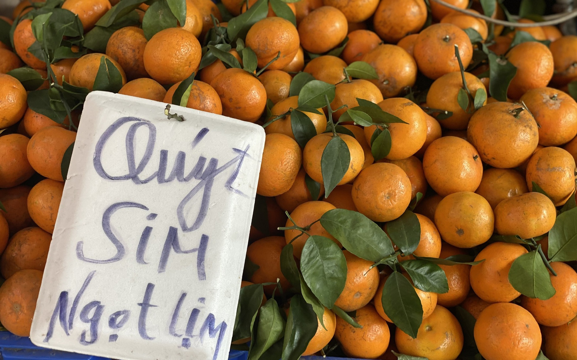 Qu&yacute;t sim ngọt lịm gi&aacute; rẻ đổ bộ chợ Việt, người ti&ecirc;u d&ugrave;ng thi nhau đặt số lượng lớn về d&ugrave;ng dần