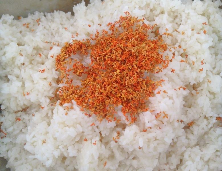 H&oacute;a ra v&igrave; t&ocirc;i hay ăn 3 m&oacute;n n&agrave;y m&agrave; da lu&ocirc;n hồng h&agrave;o, kh&iacute; huyết lưu th&ocirc;ng tốt v&agrave; tay ch&acirc;n kh&ocirc;ng bao giờ bị lạnh- Ảnh 12.