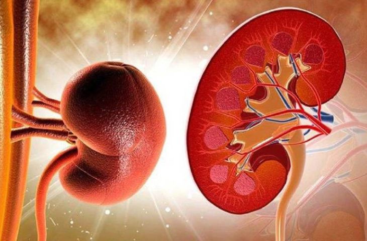 Thanh niên 25 tuổi suy thận giai đoạn cuối, phải ghép thận thừa nhận 1 sai lầm nhiều bạn trẻ Việt mắc phải - Ảnh 3.