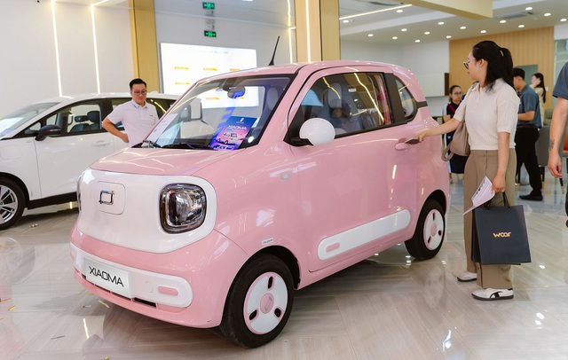 &Ocirc; t&ocirc; điện gi&aacute; rẻ ở Việt Nam: Chỉ từ 197 triệu đồng, trang bị sang, xịn vượt tầm gi&aacute; - Ảnh 4.