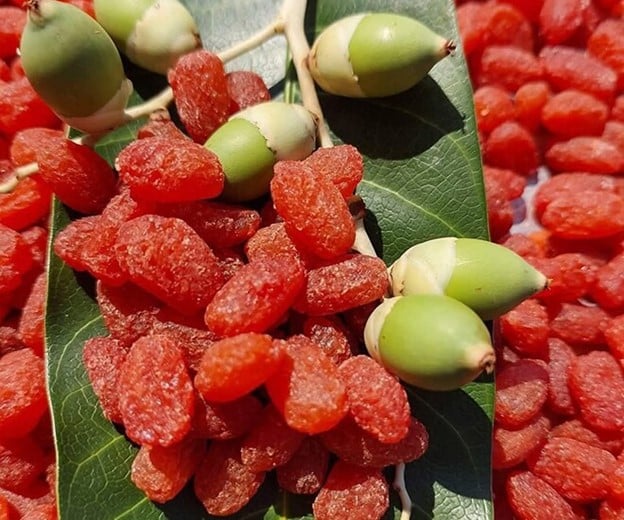 Loại quả cảnh trước đây tưởng không ăn được chỉ bỏ đi giờ thành món ăn đặc sản có giá đắt đỏ cháy hàng dịp Tết - Ảnh 3. Loại quả cảnh trước đây tưởng không ăn được chỉ bỏ đi giờ thành món ăn đặc sản có giá đắt đỏ cháy hàng dịp Tết - Ảnh 3.