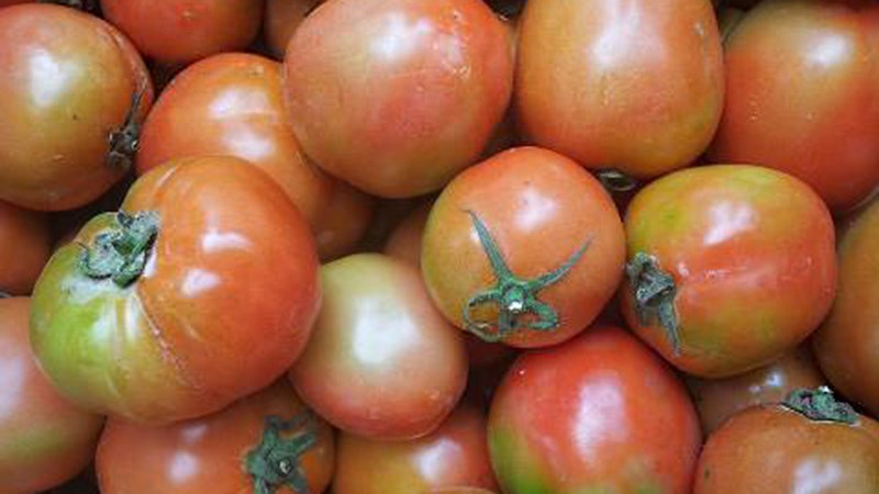 Chỉ với 3 cách bảo quản này, bạn đã có cà chua để dành dùng quanh năm