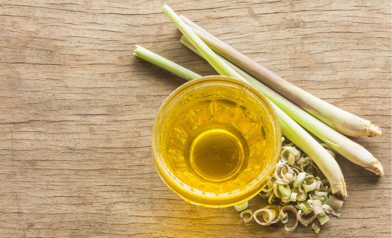 Loại củ ăn mùa đông làm ấm nóng cơ thể, người Việt nên ăn để ngăn ngừa tế bào ung thư - Ảnh 2. Loại củ ăn mùa đông làm ấm nóng cơ thể, người Việt nên ăn để ngăn ngừa tế bào ung thư - Ảnh 2.